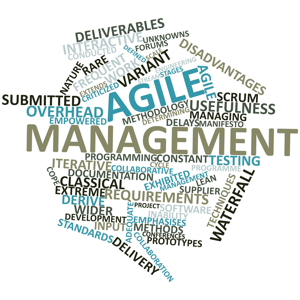 Agile and waterfall tag cloud