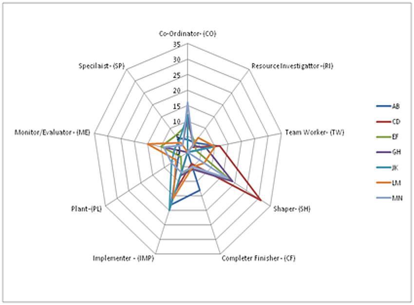 Belbin Profile for a Project Team