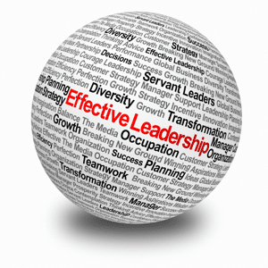 Effective leadership sphere