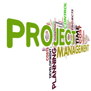 A word cloud of project management related terms - planning, time, costs and control