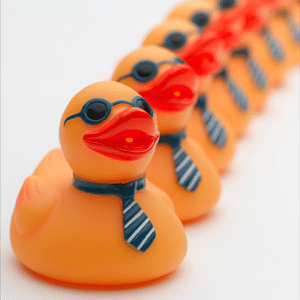 Orange rubber ducks lined up in order