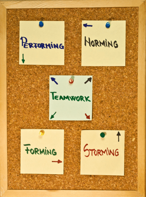 Sticky notes on a cork board showing the stages of team development